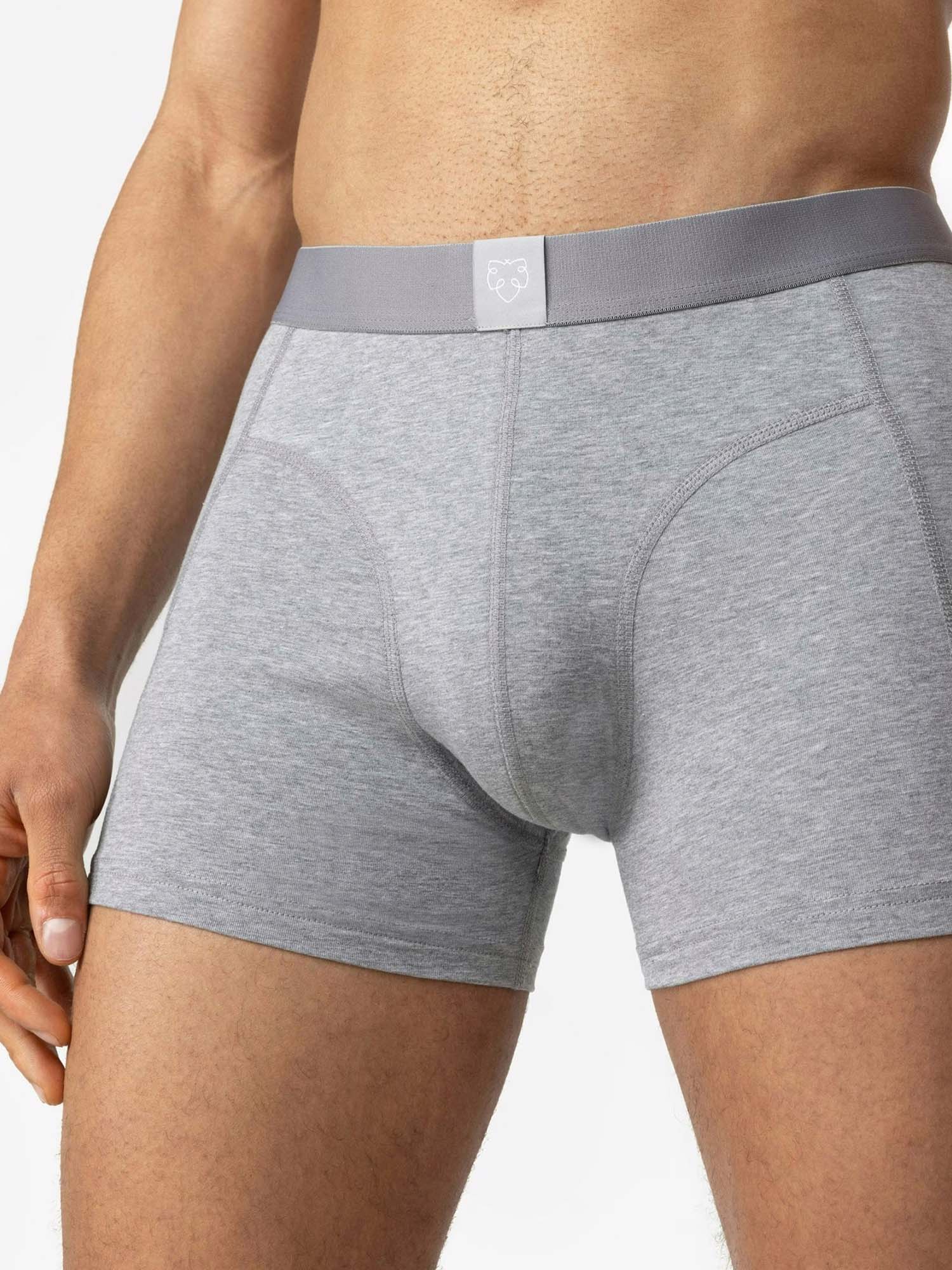 A-dam Boxer Brief 3P Melo Mela S