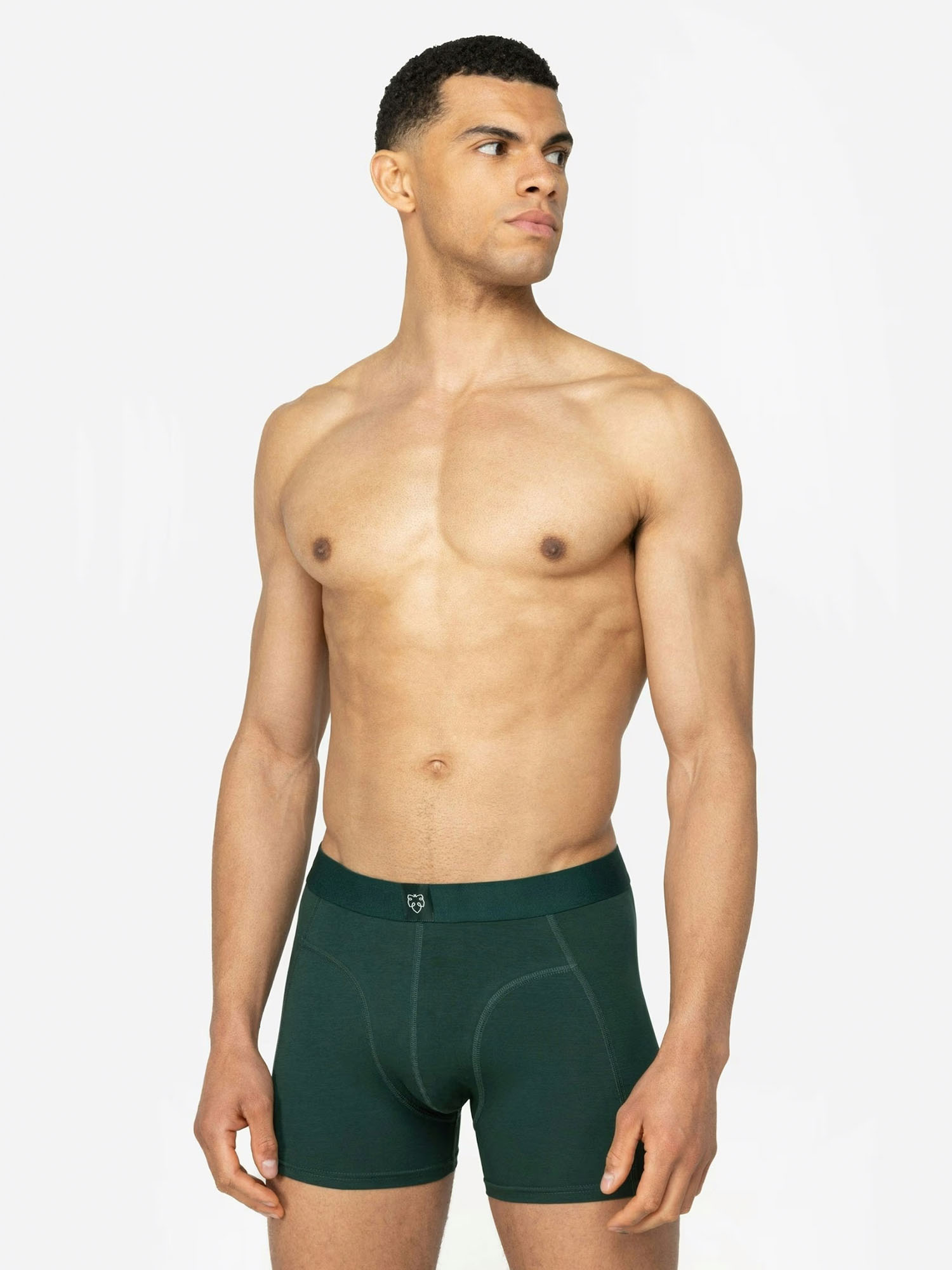 A-dam Boxer Brief 3P Falco L